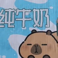 三元小方白纯牛奶：纯粹与健康的日常选择