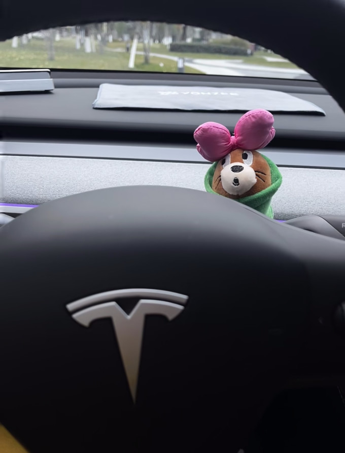 特斯拉新能源车