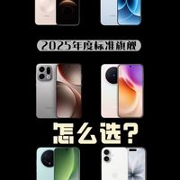 2025年度标准旗舰怎么选？不标准才是真标准
