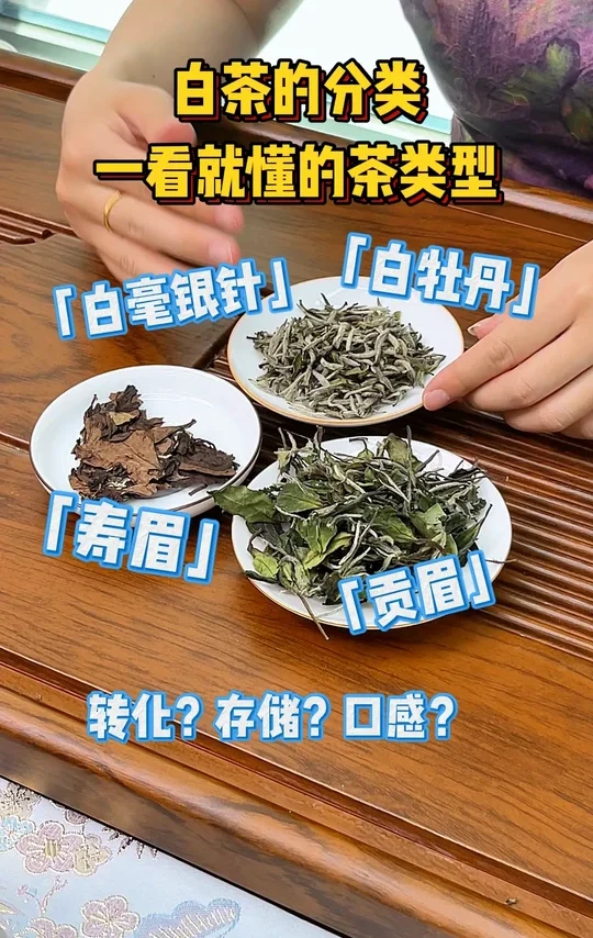 「白茶的分类」一看就懂的茶类型