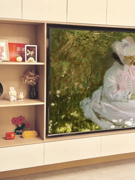 终于找到了！平嵌党有自己的私人影院！