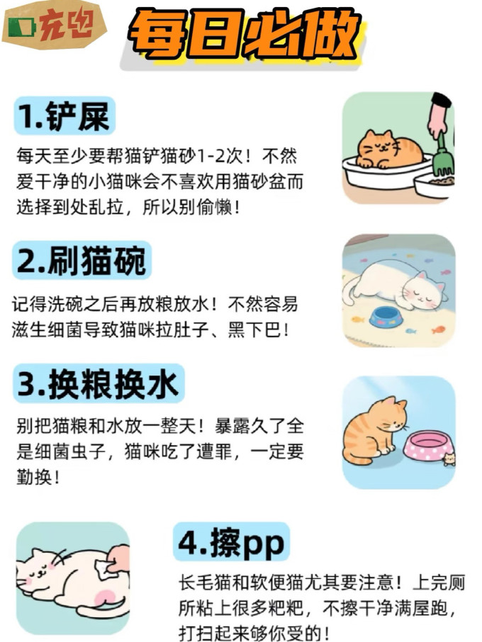 猫咪