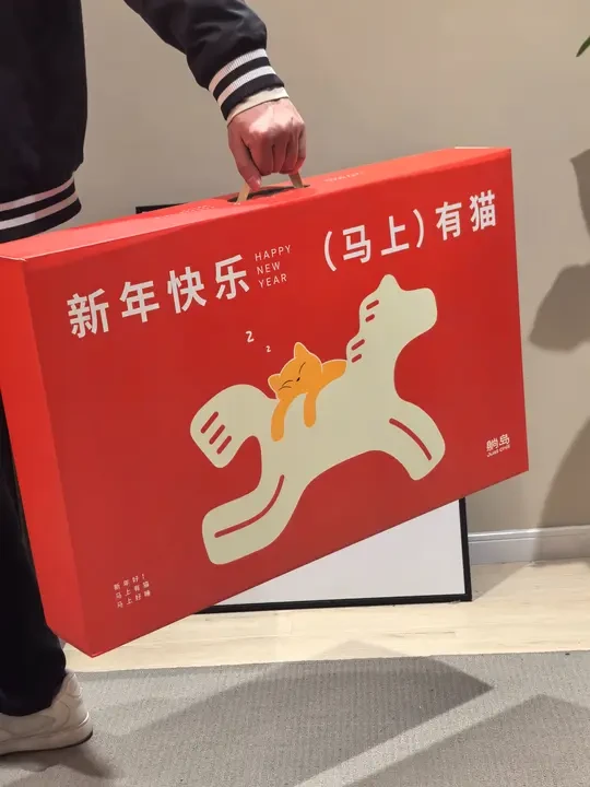 新年礼物已到位！2026从睡个好枕头开始