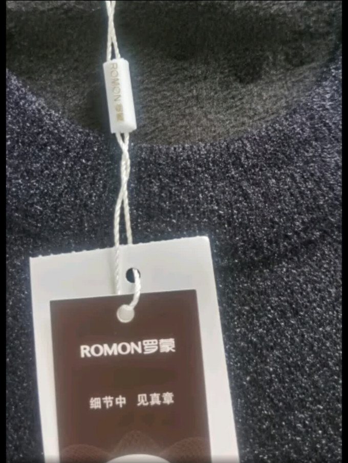 罗蒙男士针织衫