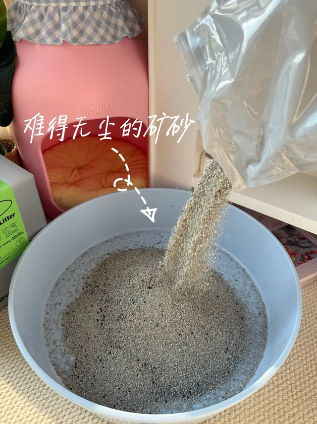 又试新猫砂 小户型用简直是本命砂