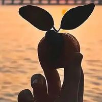 质量好的东台橱柜定制2025年12品牌推荐
