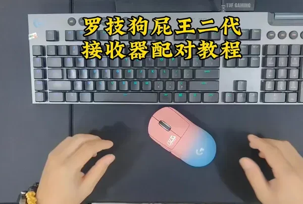 罗技GPW二代鼠标接收器如何配对？保姆级教程来了，不会操作的网吧老板赶紧看过来哦#罗技鼠标 #技术活 #专业的事情交给专业人去做 #鼠标 #gpw