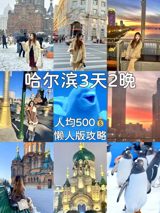 人均500💰哈尔滨3天2晚❄️自由行攻略（详细版
