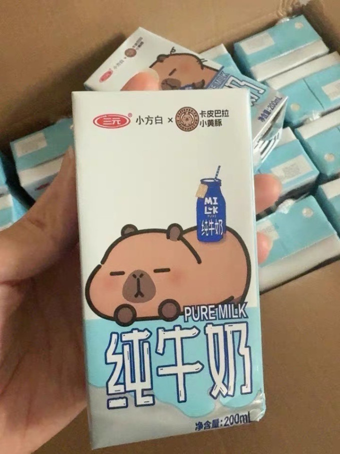 奶类制品