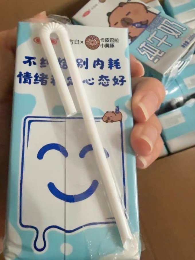奶类制品