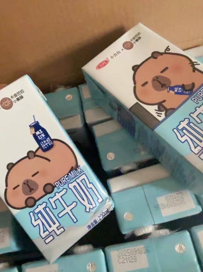 奶类制品