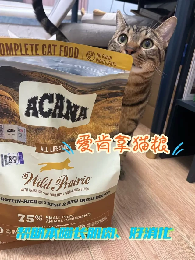爱肯拿猫粮到手真的香！！