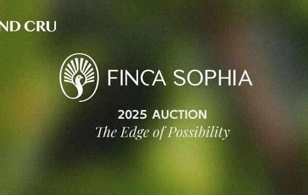 到货｜2025年索菲亚庄园竞标标次瑰夏！