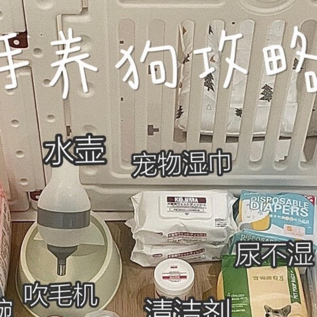 新手养狗必备清单