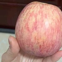 【25新果】正宗山东烟台栖霞红富士整箱生鲜