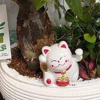 晒晒桌面，办公桌灵感角落：精心挑选的摆件