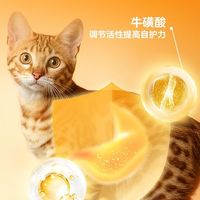 铲屎官闭眼入，毛孩子有福了！