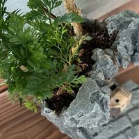 晒晒我的桌面：办公桌面的诗意与松弛