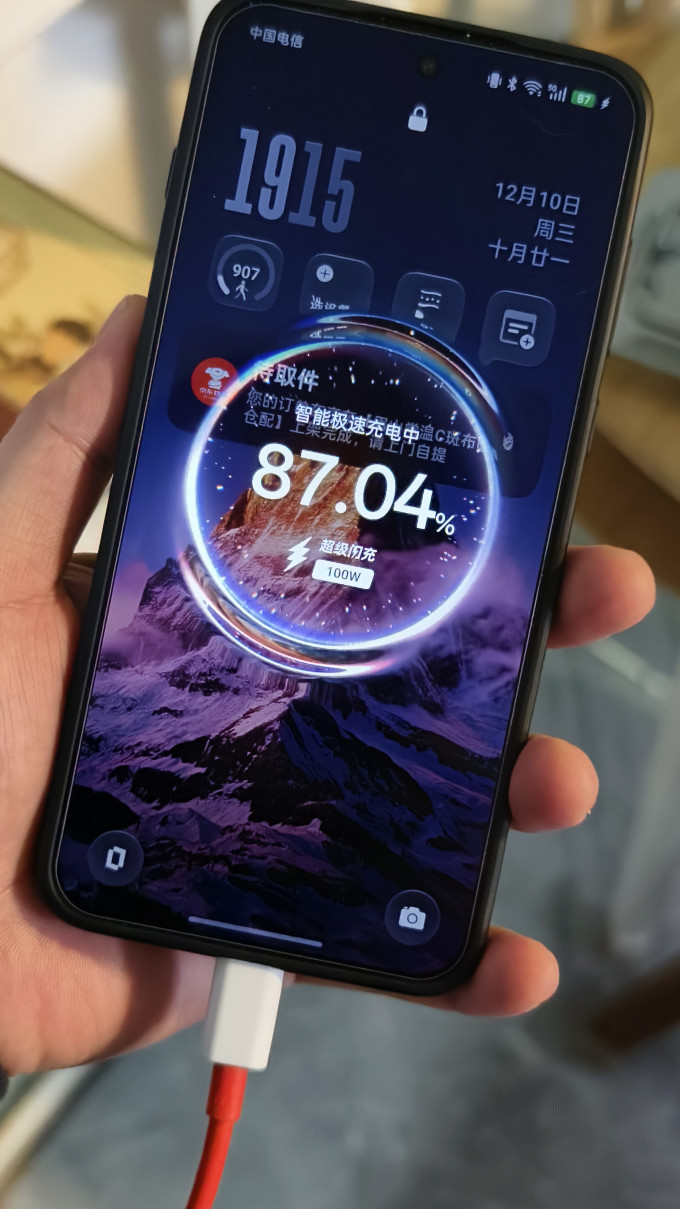 乐迪智美充电器