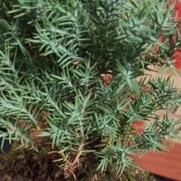 晒晒桌面摆件：对抗虚拟世界的疏离