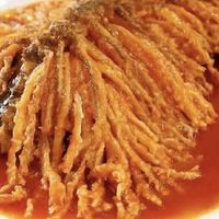 舌尖上的年度美食盘点:那些让人回味无穷的美味瞬间金毛狮子鱼