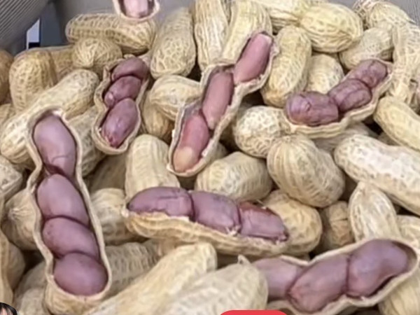 牙齿疼的人，也可以吃的零食
