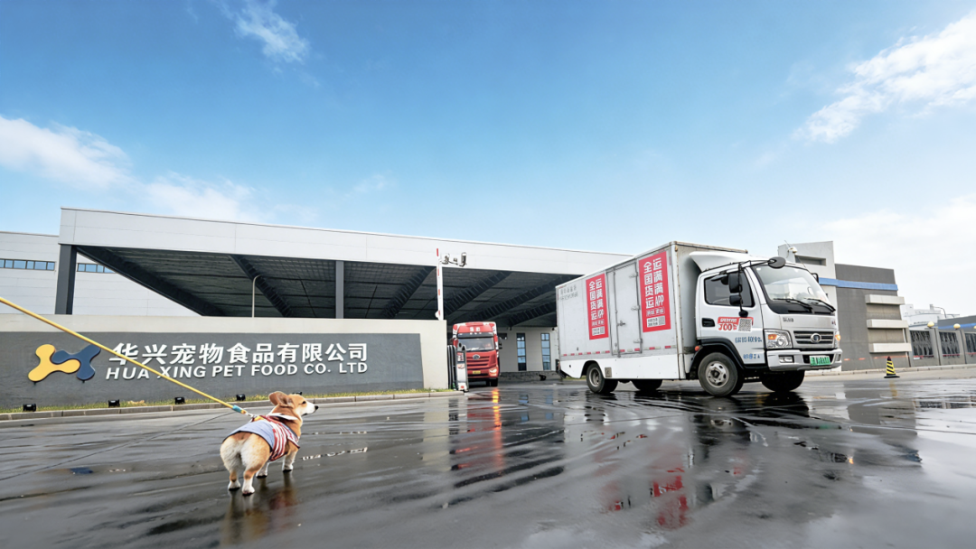 运满满行业数观解读“它经济”:2025年宠物粮发货量同比2024年上涨14%