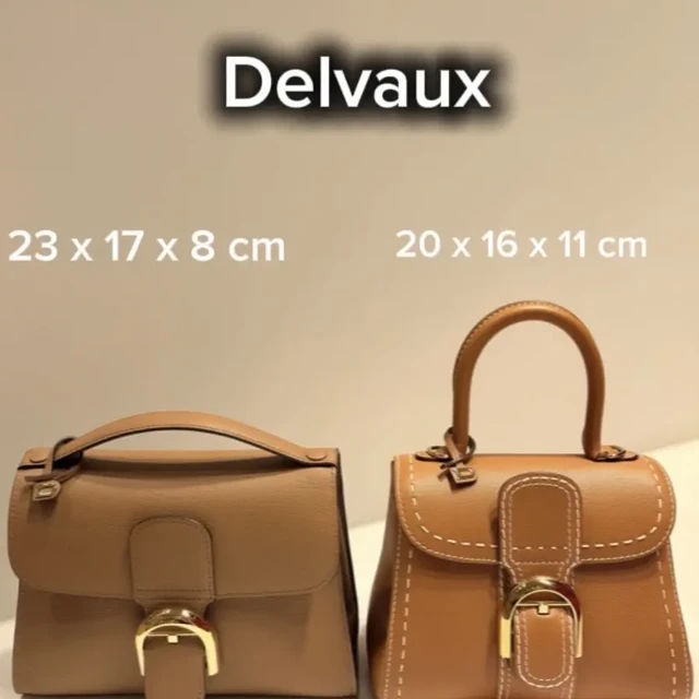 Delvaux焦糖色对决！经典Mini还是新款Tempo？