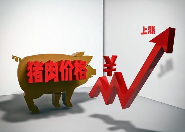 今年买菜你觉得猪肉便宜吗？——从市场变化看价格走势与消费心态
