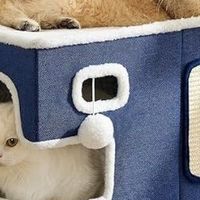 冬季保暖猫窝推荐：NATTYHOME纳蒂全封闭大号可拆洗窝