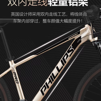 ✨ 一辆能承包全家骑行快乐的山地车，终于被我挖到了！