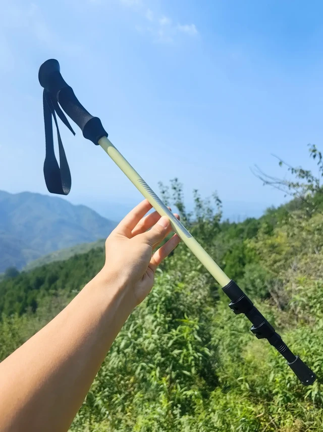 185克的碳纤维登山杖一根才80多，太值了