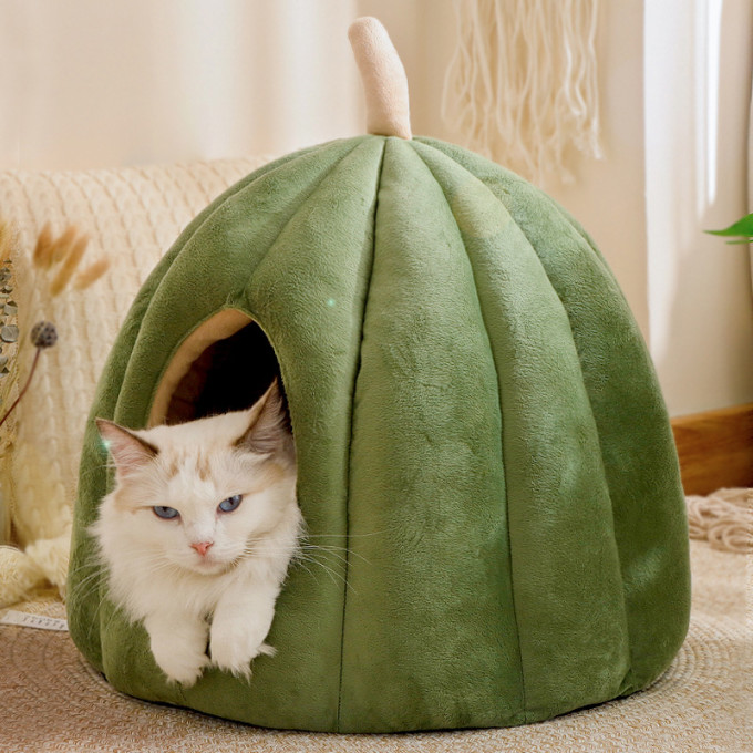猫狗窝