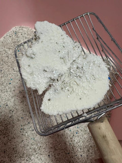 双旦暖心之选：许翠花木薯猫砂