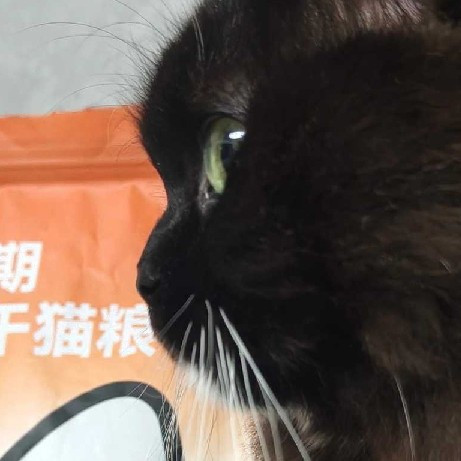 2026年了，希喂猫粮到底怎么样？小众猫粮里口碑好的有吗？