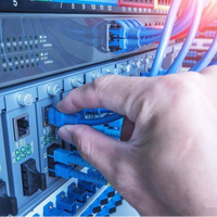 罗永浩吐槽千兆宽带缩水引热议，600+用户真实反馈全景呈现