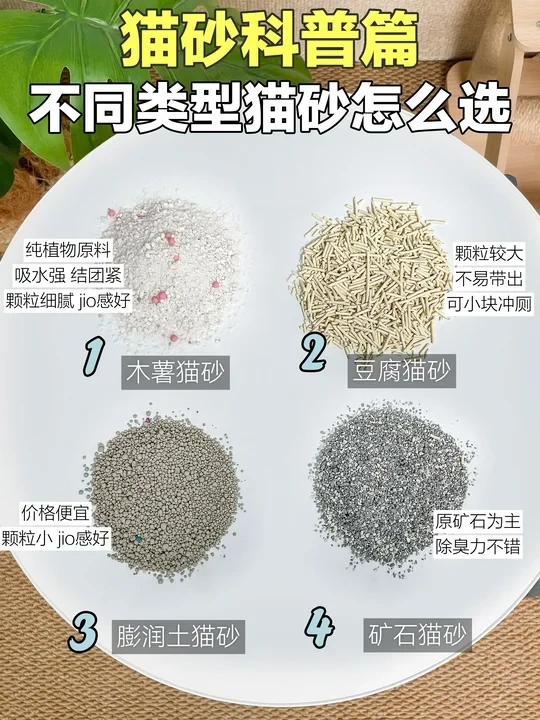 不同类型猫砂小科普|新手选砂不纠结