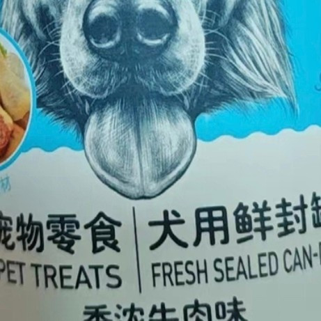 陪伴与成长：养宠的收获