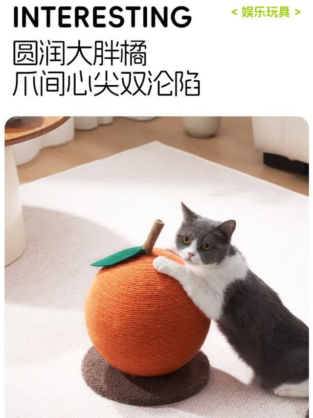 大橘大利猫抓球，猫咪的新宠