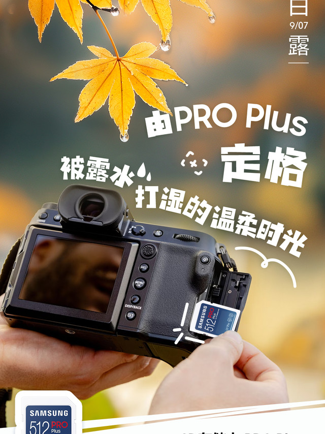#白露# 总怕美好的画面来不及留存？三星PRO Plus SD 存储卡来了 ，高达180MB/s和130MB/s的超快读/写速度，支持动态连拍及流畅4K视频录制 ，让每一份心动都有处可寻，每一段时光都