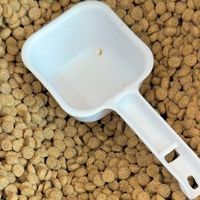 养宠必囤自然逻辑猫粮：减少毛球更健康