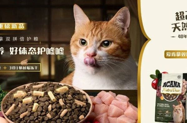 爱肯拿在华全球首发“双拼倍护猫粮“系列：四十年膳食专家 以天然营养顺应爱猫天性所需