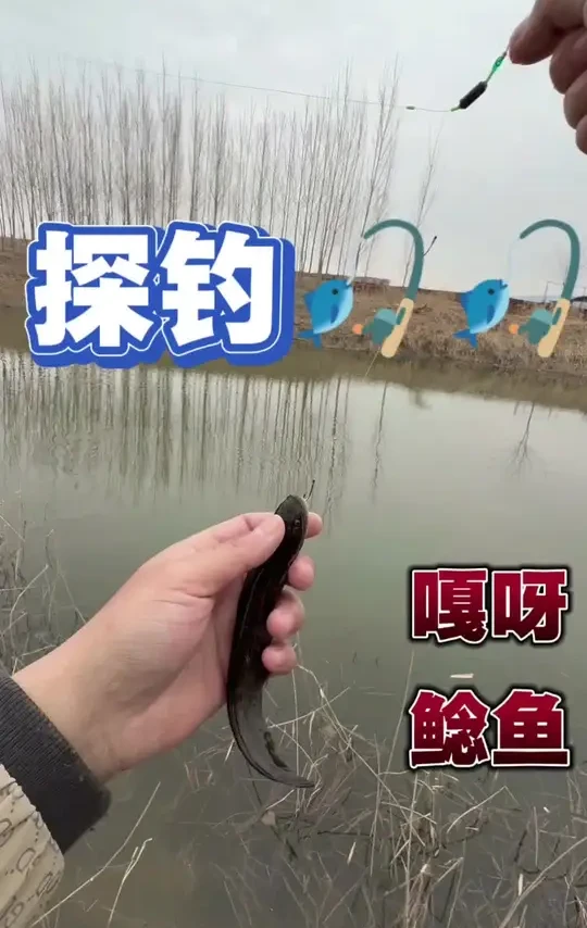 解锁两个新品种#沃鼎王者神剑极轻小综合 #挑战冬季不封竿 #户外钓鱼 #野钓 #钓鱼小技巧分享