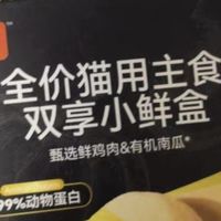 从怯生生到满屋撒欢的小猫