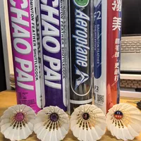 羽毛球选鸭毛还是鹅毛？538+ 用户真实观点全景呈现