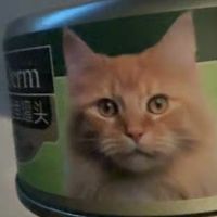 营养均衡罐头助猫咪健康成长