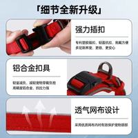 被遛狗支配的日子终于结束！多尼斯全犬型牵引绳，新手铲屎官必入