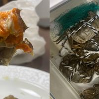 论有个“吃货朋友”的最高礼遇：连夜为你扛回一箱江苏大闸蟹！