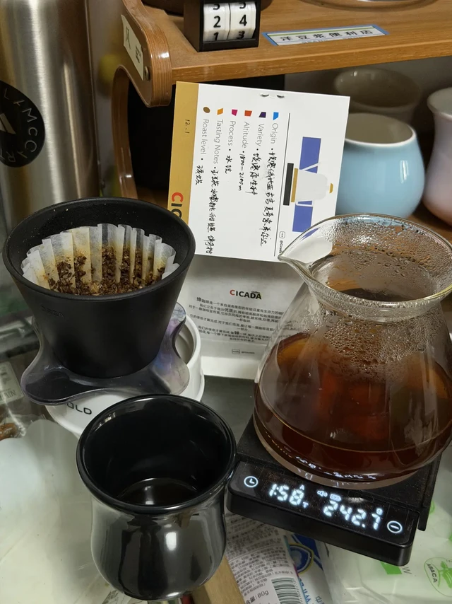 Cicada 埃塞 古吉夏奇索希尔达 水洗原生种2