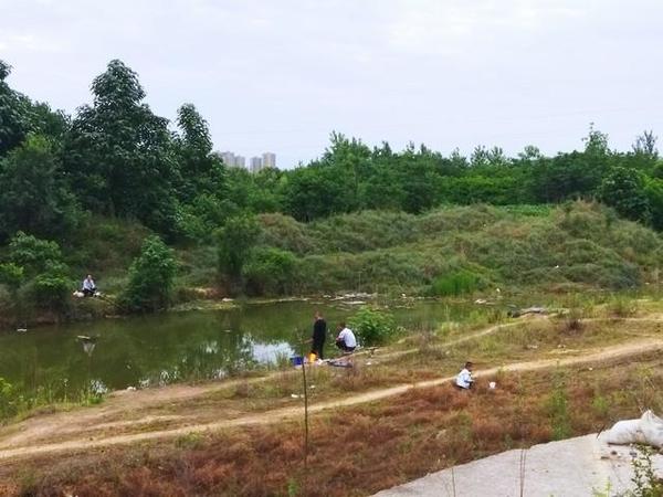 野钓:老一辈人说的鲫鱼饵料，真的有点东西